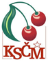 Logo a volební znak KSČM